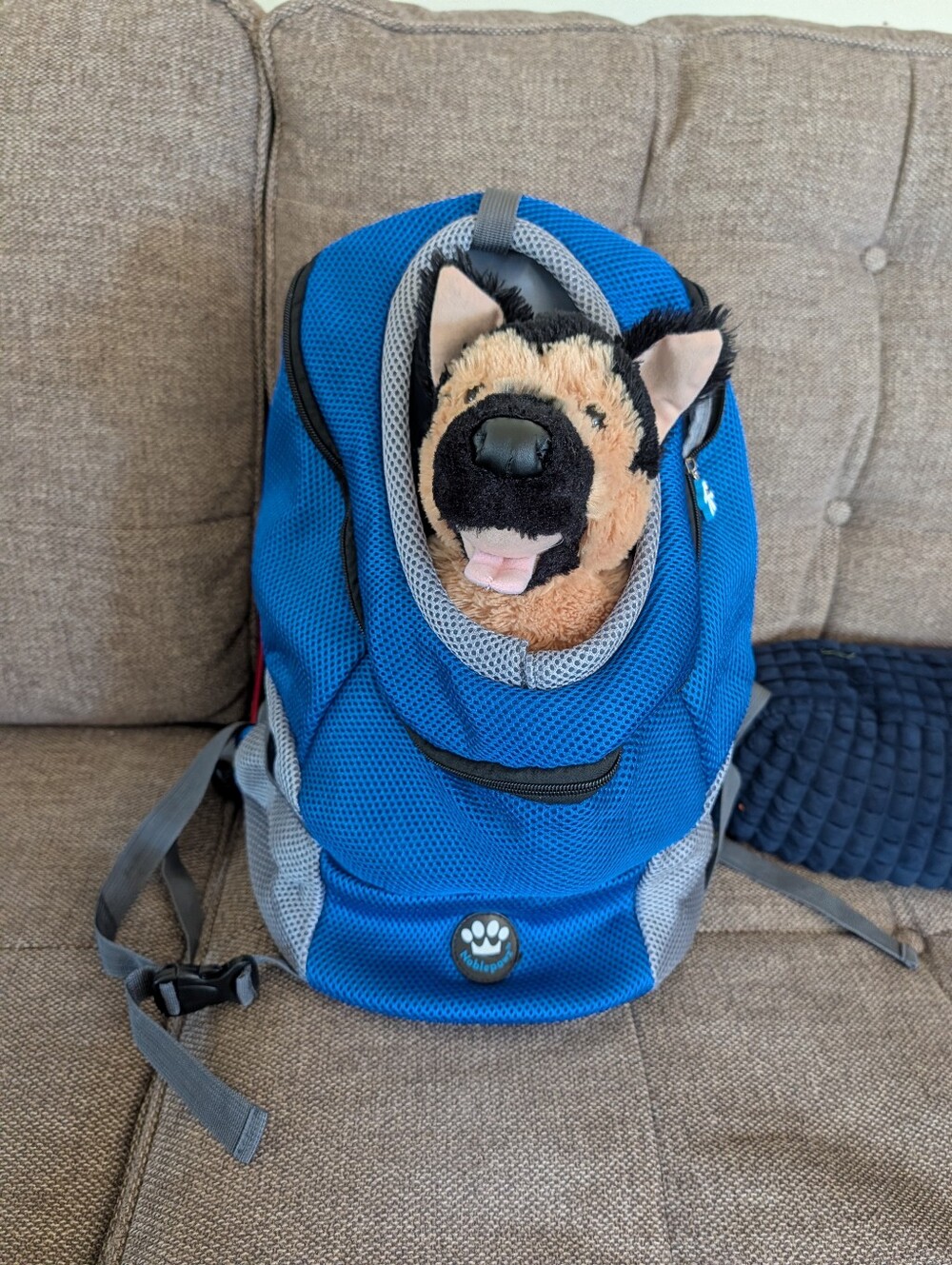 Blue Dog Carrier Backpack - Comfortable Pet Travel Pack
